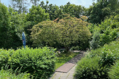 Minigolf-1
